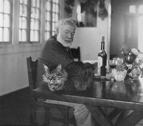 Nick mit Hemingway