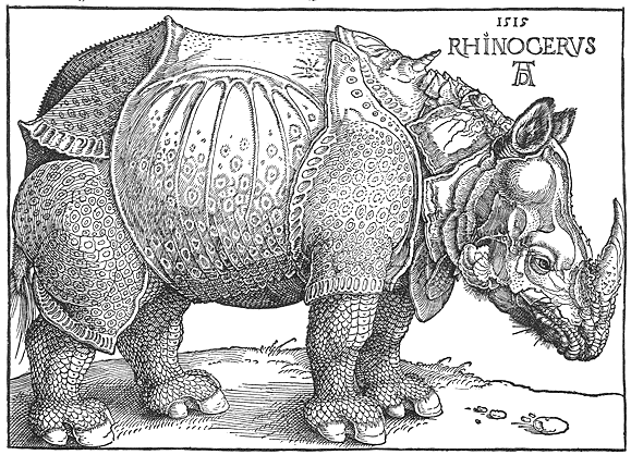 Das Rhinozeros nach Dürer