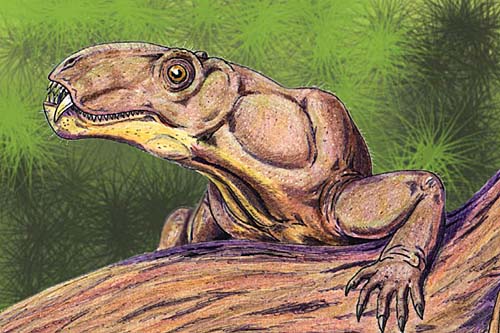 Phtinosuchus