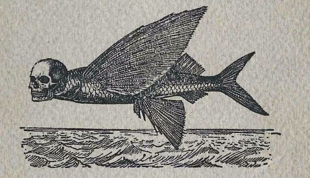 Fliegender Fisch mit Totenkopf